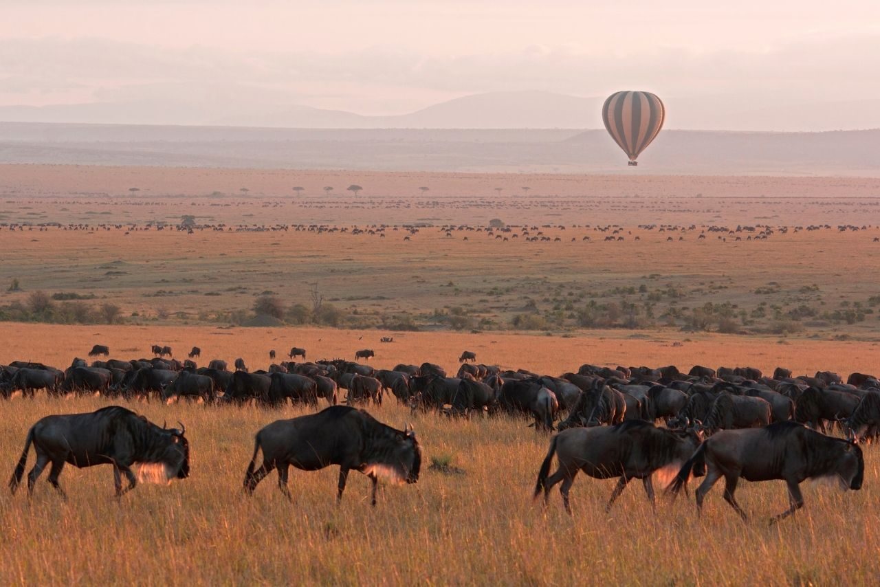 Great migration hot air balloon - amazing safari experiences