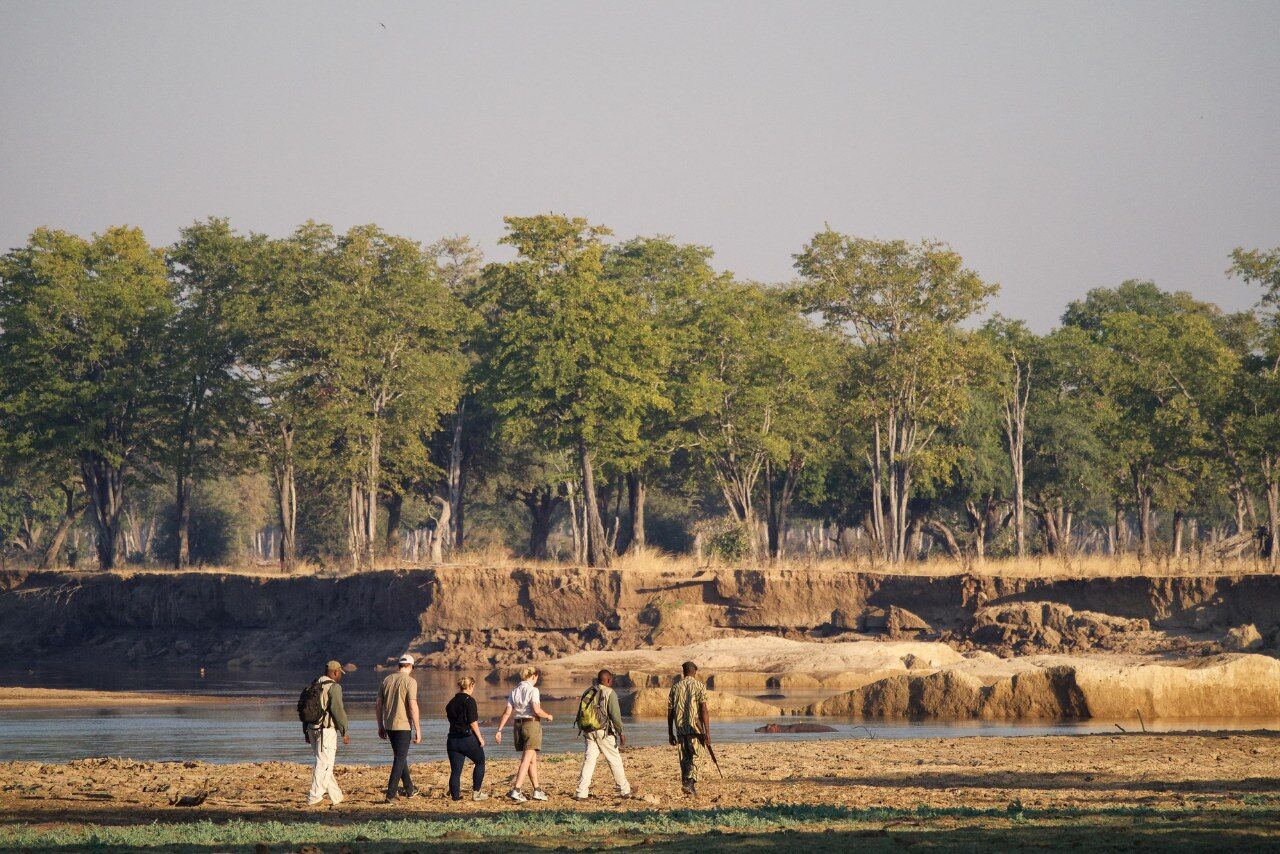 Zambia Walking