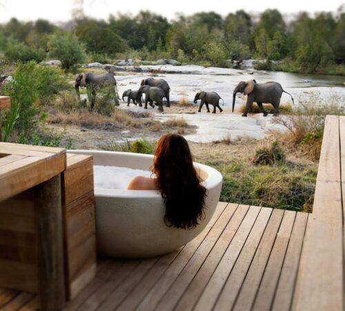 A woman with dark hair lies in a bathtub on a terrace, overlooking a river where a family of elephants are walking by. Londolozi Granite Suites.