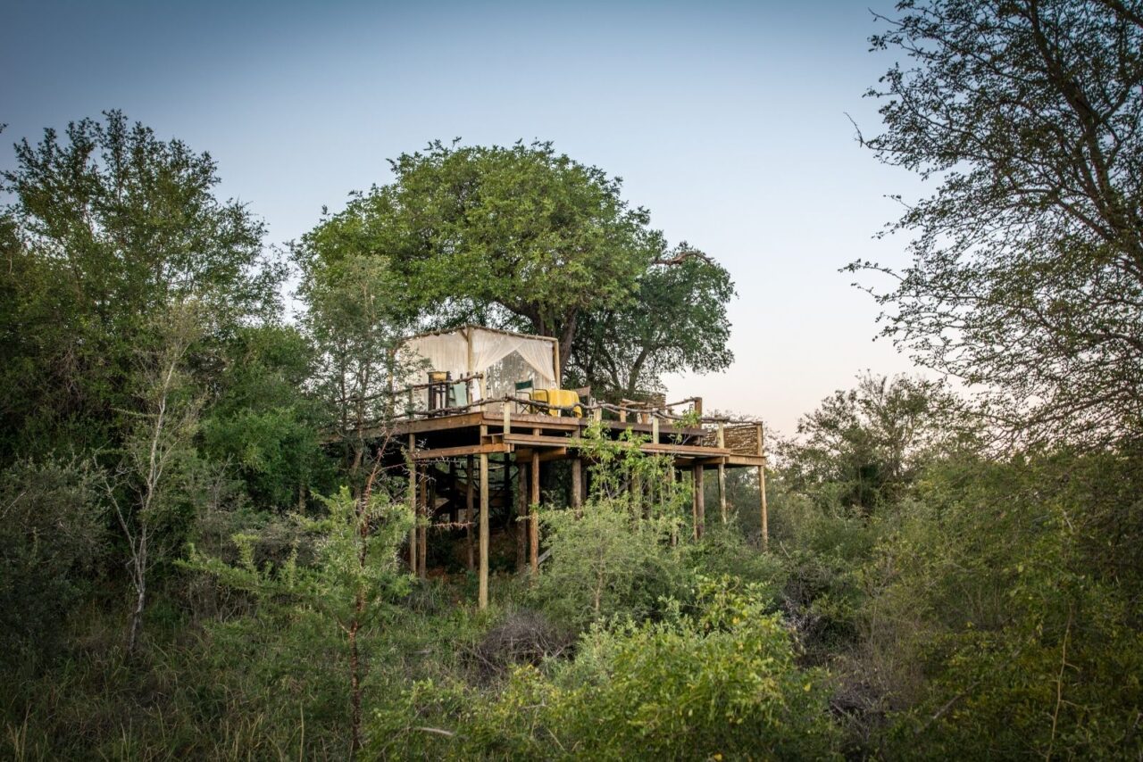 View of the Garonga sleepout platform from below. The deck is elevated above the bush on stilts and the white canopied bed is on top of it.