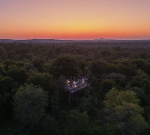 A sleepout platform surrounded by the bush, lit up as the sun sets.