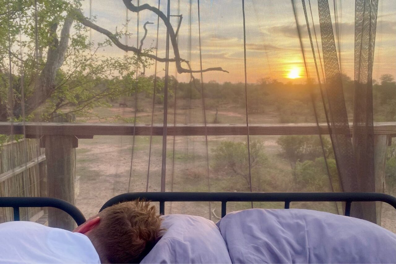 View from the bed on the Garonga sleepout. A person's head is visible lying on a white pillow. Through the mosquito net is the bright orange sun rising above the bush.