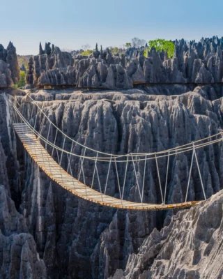 Is this for real? 😍

This is Tsingy de Bemaraha National Park, a UNESCO-listed geological wonder in Madagascar. 

It’s a limestone massif shaped into razor-sharp karst pinnacles and surrounded by thick forest. 

Canoe up the Manambolo River, then strap in for an adventure on the rocks, trekking over bridges and via ferratas. 

There are circuits to suit different abilities, and you’ll be looked after by an expert guide. 

Look out for lemurs. 11 different species are found here!